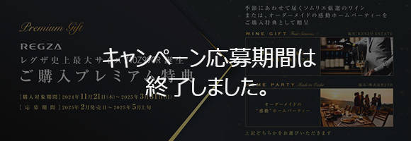 レグザ史上最大サイズ110Z990R誕生 ご購入プレミアム特典