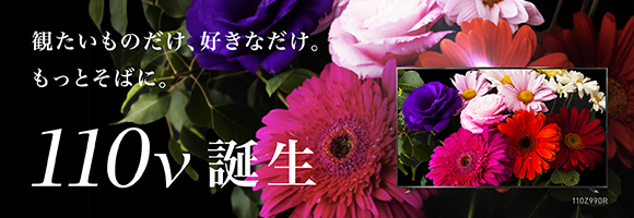 観たいものだけ、好きなだけ。もっとそばに。110v誕生