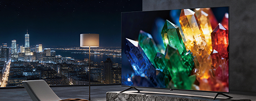 RGB Mini LED液晶レグザ 100ZX1S イメージ